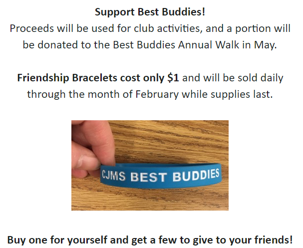 Best Buddies Friendship Bracelets