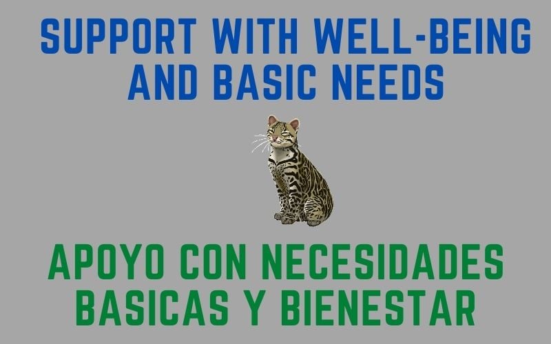 "support with well-being and basic needs"  "apoyo con necesidades basicas y bienestar"