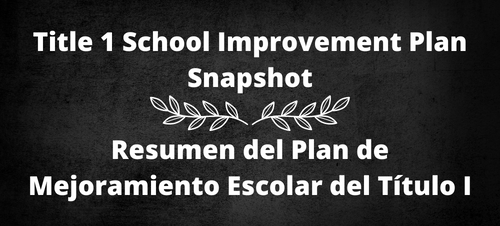Title 1 School Improvement Plan Snapshot
