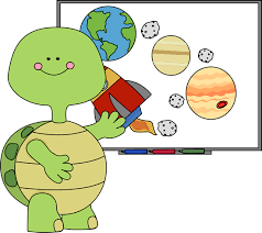 turtle space