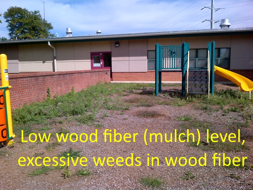 Not enough wood fiber, too many weeds