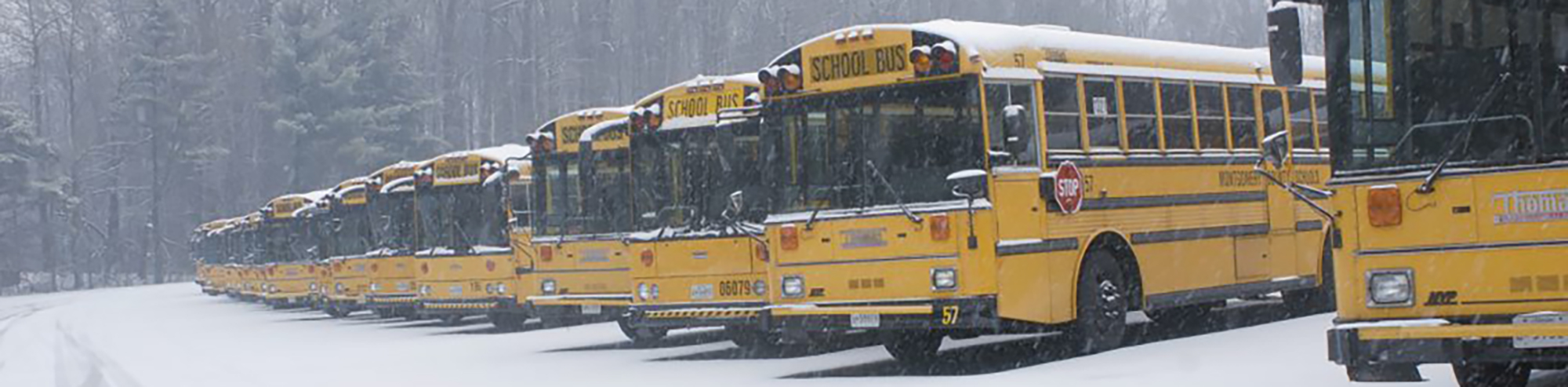 school busses in snow banner