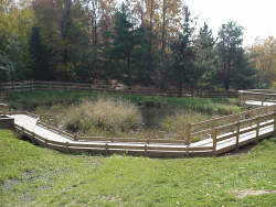 Smith Center Wetland