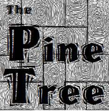 B-CC Pine Tree Image