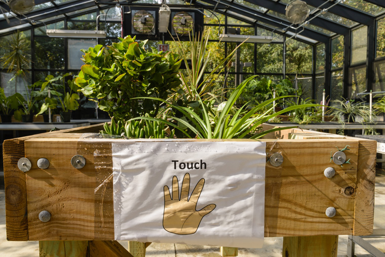 Greenhouse at Stephen Knolls School - Touch and Feel